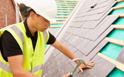 Developer – large site, many sub-trades, ongoing project